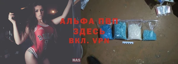 спиды Медвежьегорск
