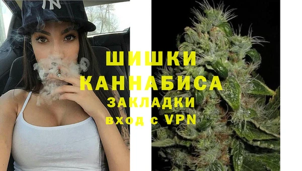 прущие грибы Лихославль