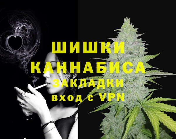 сатива Медногорск