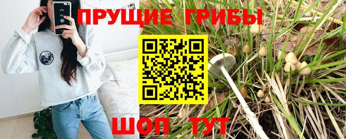 Лысьва  Псилоцибиновые грибы прущие грибы  Галлюциногенные грибы GOLDEN TEACHER  Вход с VPN 
